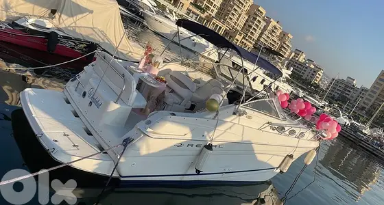 Boat Regal Super Clean Boat Regal Super Clean
