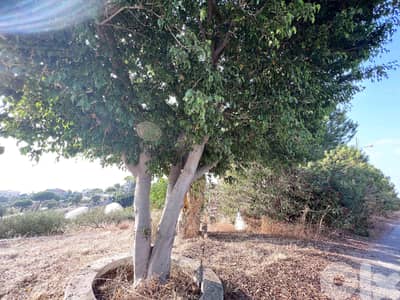 Land in Jeddayel | Open Sea View | أرض للبيع | PLS 25811