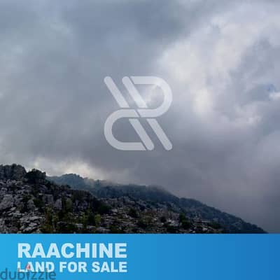 land for sale in Raachine - أرض للبيع في رعشين
