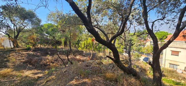 land for sale in Ain saadeh Roumieh 20|40zoning أرض للبيع في عين سعاده