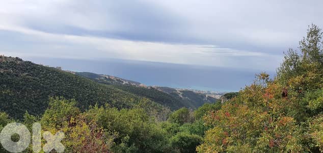 L06750-Land for Sale in Bechtlida Jbeil