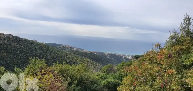 L06750-Land for Sale in Bechtlida Jbeil