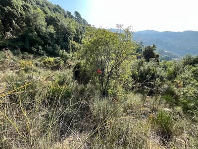 925 Sqm | Land for sale in Ain El Kharroubeh | Mountain view