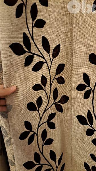 curtains 1