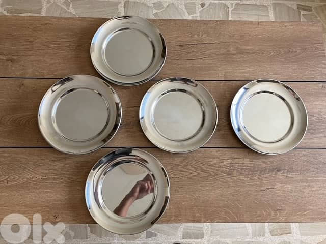 12 Stainless Steel Plates 0