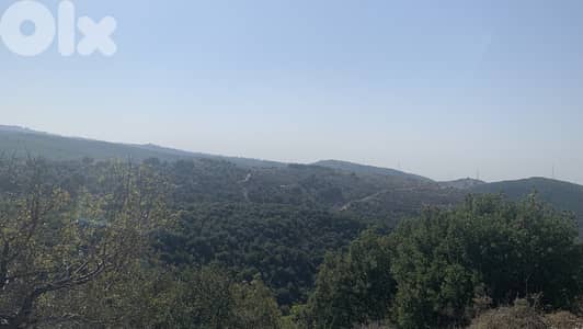 RWB213MT - Land for sale in Haqel Jbeil ارض للبيع في حائل جبيل