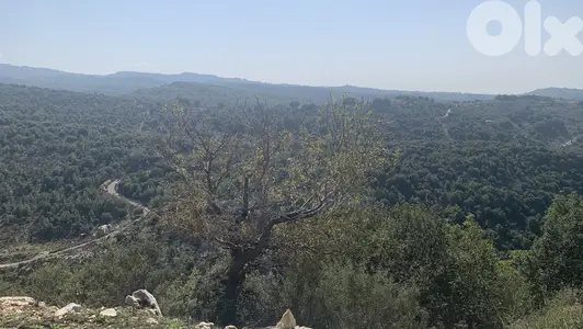 RWB214MT - Land for sale in Obeidat Jbeil ارض للبيع في عبيدات جبيل