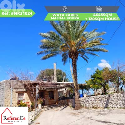 Land with house in wata fares majdal koura ارض مع بيت  في وطى فارس