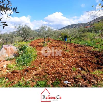 Land with house in wata fares majdal koura ارض مع بيت  في وطى فارس