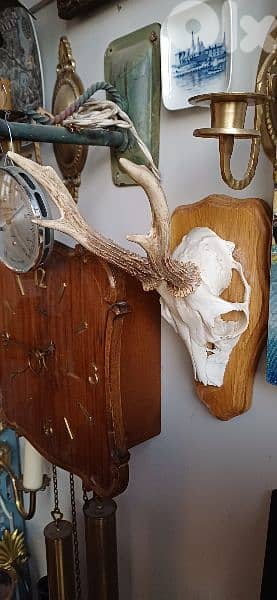 antique 6