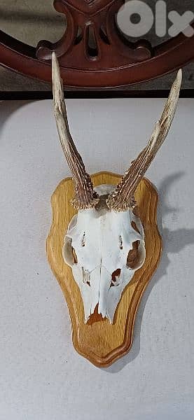 antique 9