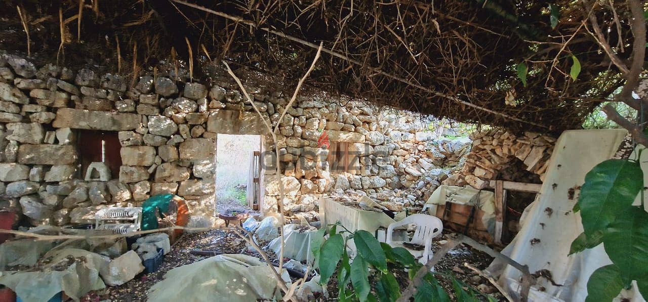 L13650-Land With Sea And Mountain View for Sale In Batroun 3