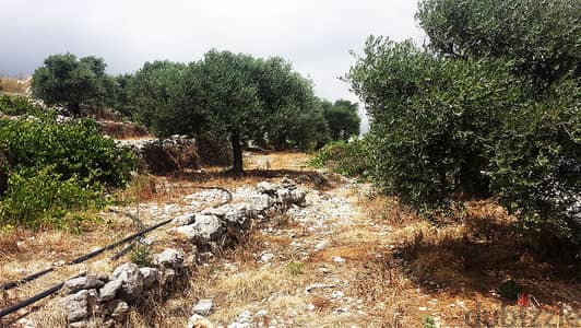 L01390 - Land For Sale In Batroun With Mountain View, Residential Zone