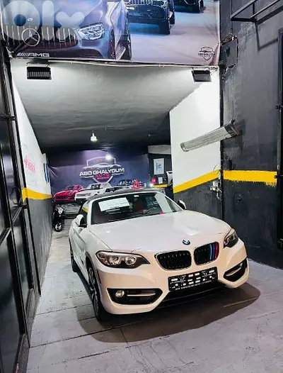 BMW 228i M-PACKAGE clean carfax