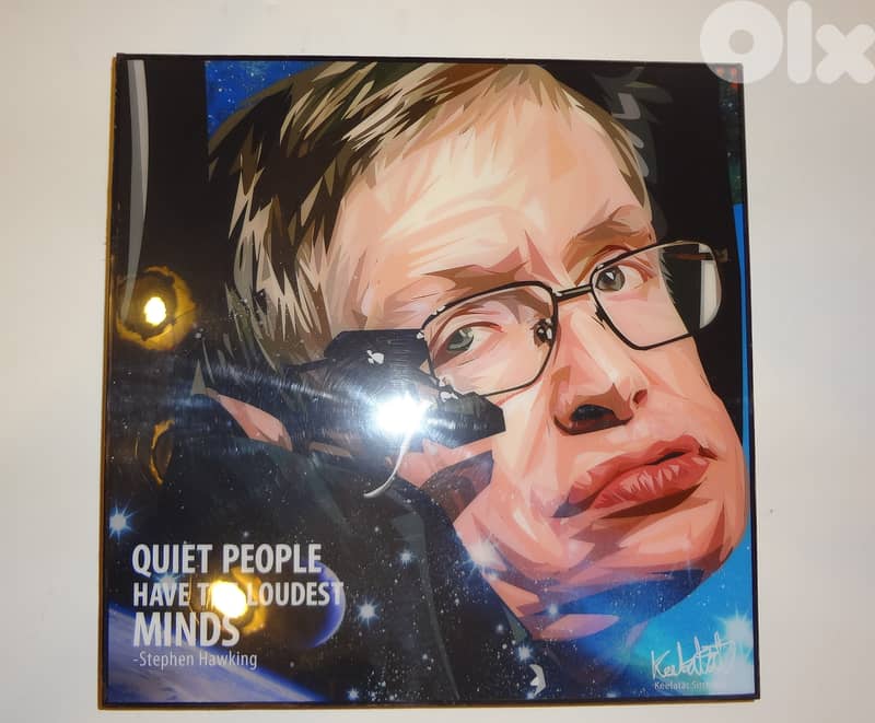 Stephen Hawking funko pop wall mountable photo frame 26*26cm 0
