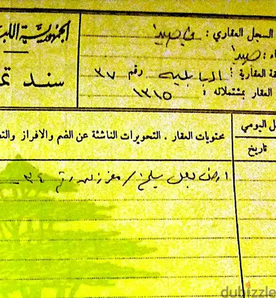 land for sale in babliyeh saida