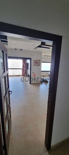 220m apartment with extraordinary view