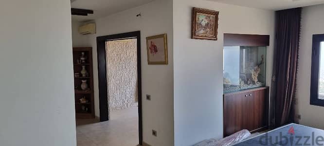 220m apartment with extraordinary view