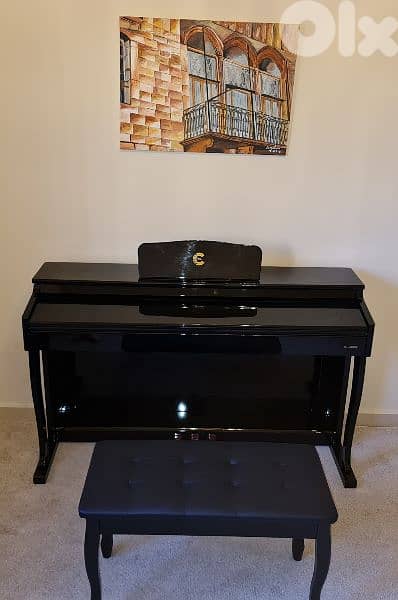 Piano Digital Cpro. New hamer keys 900 voices 70p styles . . . 1