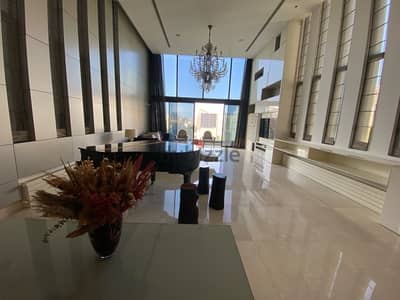 Amazing penthouse with swimming pool