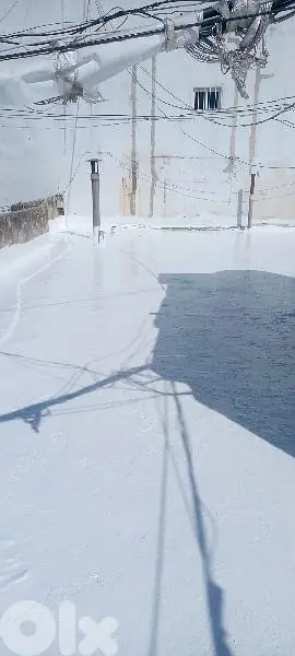 معلم دهان بهاء