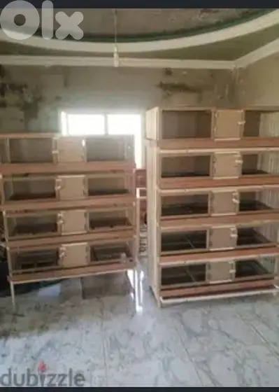 أقفاص فر وبطاريات دجاج