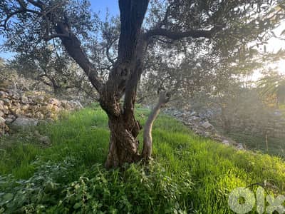 A 1255 m2 land + open sea view for sale in Monsef-أرض للبيع في منصف