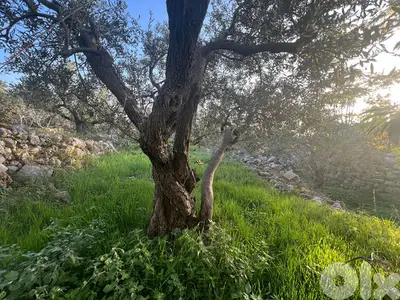 A 1255 m2 land + open sea view for sale in Monsef-أرض للبيع في منصف