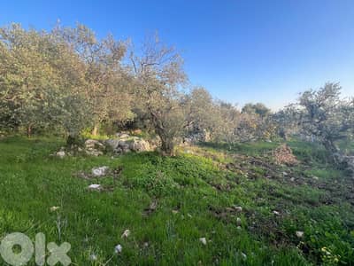A 1255 m2 land + open sea view for sale in Monsef-أرض للبيع في منصف