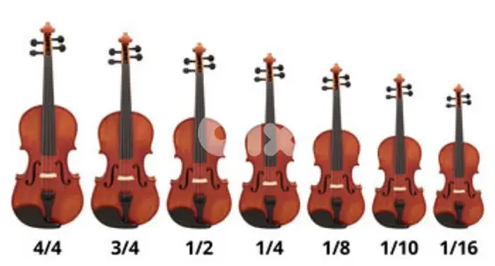 violons all sizes with bags very good quality in a good price