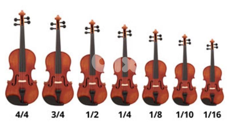 violons all sizes with bags very good quality in a good price 0