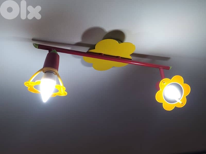 ceiling lamp 1