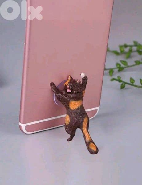 Funny cat lifter 1