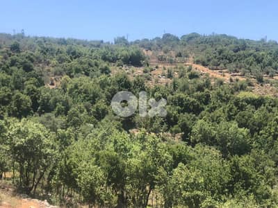ارض للبيع في حاصبيا الجنوب land for sale in hasbaya