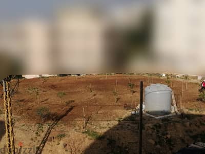 Land for rent in Mar Roukoz أرض للإيجار في مار روكوز