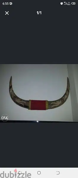 قرن الثور