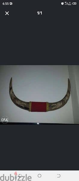 قرن الثور 0