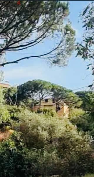 stand alone villa with panoramic view and large garden  View