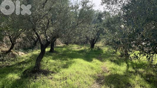 RWB174MT - Land for sale in BLAT - JBEIL ارض للبيع في بلاط - جبيل