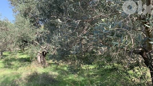 RWB174MT - Land for sale in BLAT - JBEIL ارض للبيع في بلاط - جبيل