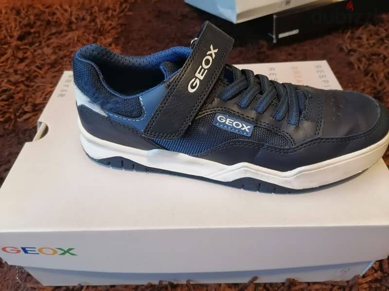 Geox shoe 2