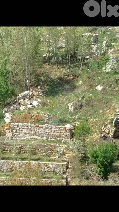 RWK246GZ - Land For Sale In Faraya - أرض للبيع في فاريا