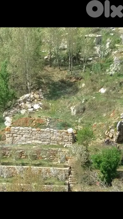 RWK246GZ - Land For Sale In Faraya - أرض للبيع في فاريا