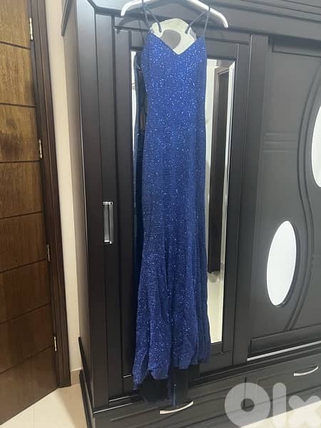 Blue Long Dress 0