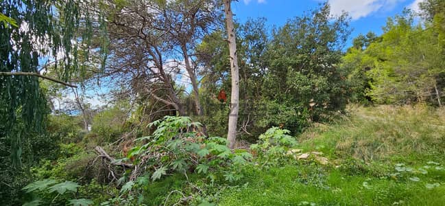 Land for sale in Yarzeh أرض للبيع في اليرزة