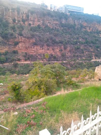 A 8000 m2 land for sale in Mekalles - أرض للبيع في مكلس