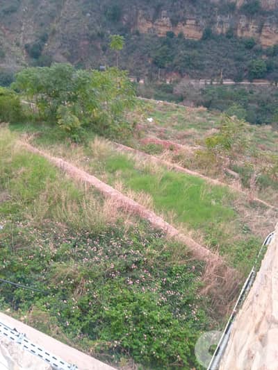 A 8000 m2 land for sale in Mekalles - أرض للبيع في مكلس