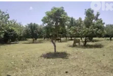 Residential plot land in Rabieh prime location