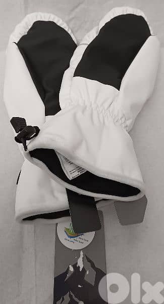 whistler gloves 2