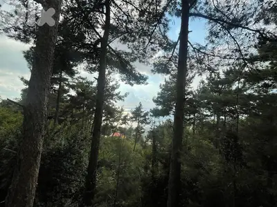 RWK123JA - Land For Sale In Chnaniir - أرض للبيع في شننعير